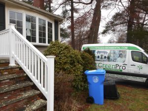 mold removal Winthrop ma